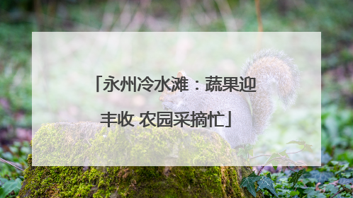 永州冷水滩：蔬果迎丰收 农园采摘忙