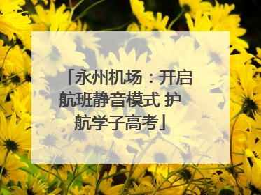 永州机场：开启航班静音模式 护航学子高考