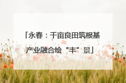 永春：千亩良田筑根基 产业融合绘“丰”景