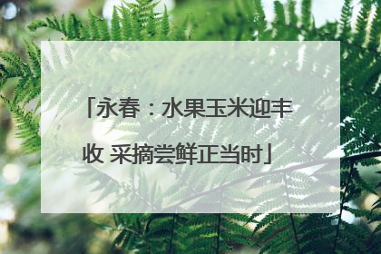 永春：水果玉米迎丰收 采摘尝鲜正当时