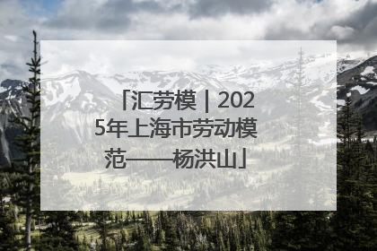 汇劳模｜2025年上海市劳动模范——杨洪山