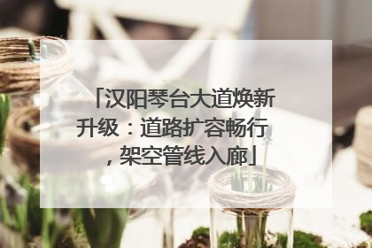 汉阳琴台大道焕新升级：道路扩容畅行，架空管线入廊