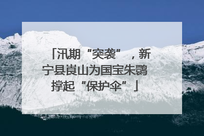汛期“突袭”，新宁县崀山为国宝朱鹮撑起“保护伞”