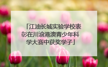 江油长城实验学校表彰在川渝港澳青少年科学大赛中获奖学子