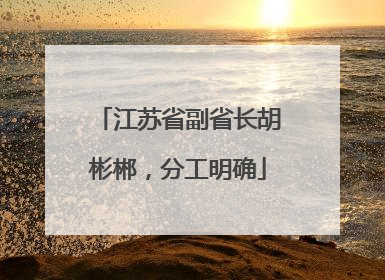 江苏省副省长胡彬郴，分工明确