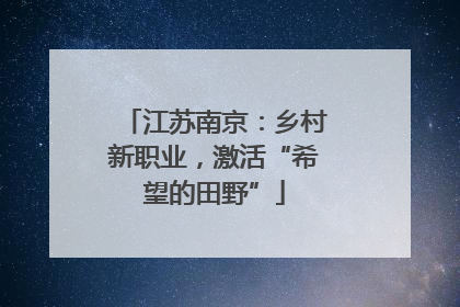 江苏南京：乡村新职业，激活“希望的田野”