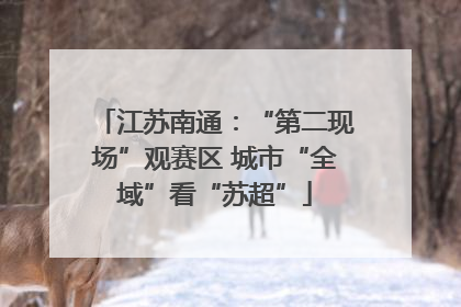 江苏南通：“第二现场”观赛区 城市“全域”看“苏超”
