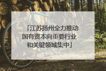 江苏扬州全力推动国有资本向重要行业和关键领域集中