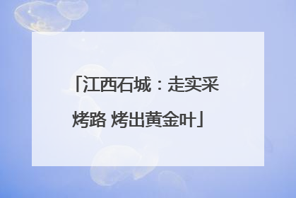 江西石城：走实采烤路 烤出黄金叶