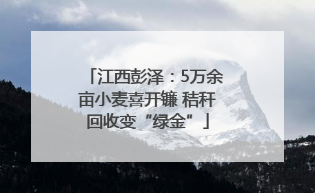 江西彭泽：5万余亩小麦喜开镰 秸秆回收变“绿金”