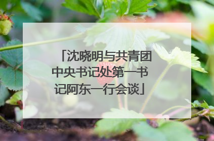 沈晓明与共青团中央书记处第一书记阿东一行会谈