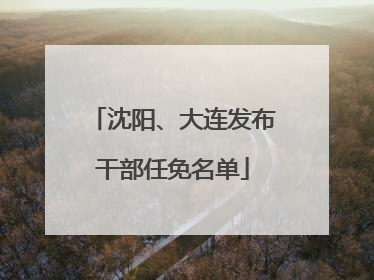 沈阳、大连发布干部任免名单