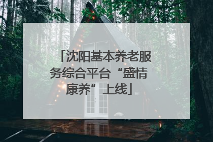 沈阳基本养老服务综合平台“盛情康养”上线