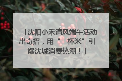 沈阳小禾清风端午活动出奇招，用“一杯米”引爆沈城消费热潮！