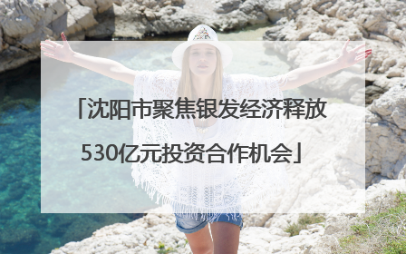 沈阳市聚焦银发经济释放530亿元投资合作机会