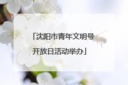 沈阳市青年文明号开放日活动举办