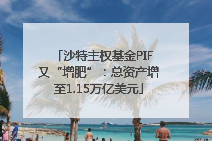 沙特主权基金PIF又“增肥”：总资产增至1.15万亿美元