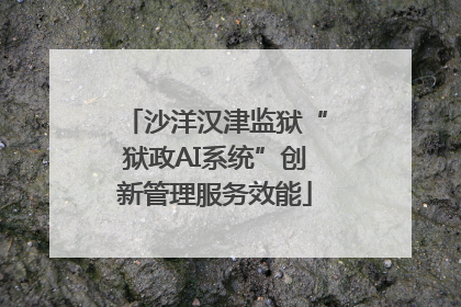沙洋汉津监狱“狱政AI系统”创新管理服务效能