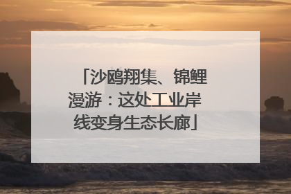 沙鸥翔集、锦鲤漫游：这处工业岸线变身生态长廊
