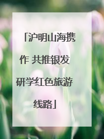 沪明山海携作 共推银发研学红色旅游线路