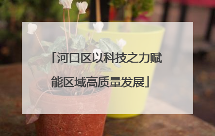 河口区以科技之力赋能区域高质量发展