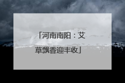 河南南阳：艾草飘香迎丰收
