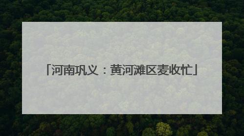 河南巩义：黄河滩区麦收忙