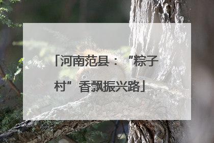 河南范县：“粽子村”香飘振兴路