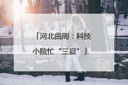 河北曲周：科技小院忙“三夏”