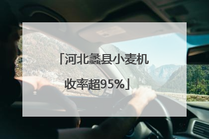 河北蠡县小麦机收率超95%