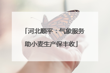 河北顺平：气象服务助小麦生产保丰收