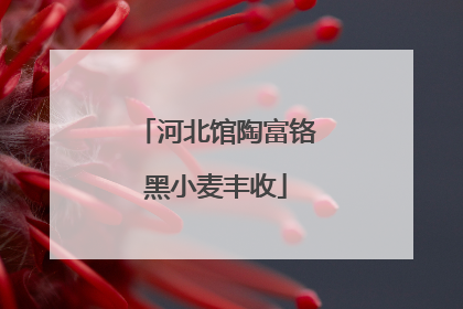 河北馆陶富铬黑小麦丰收