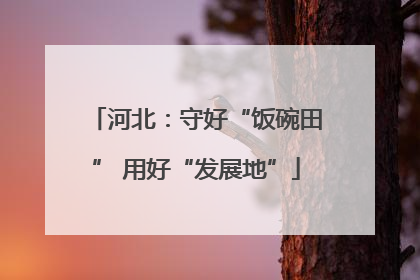 河北：守好“饭碗田” 用好“发展地”