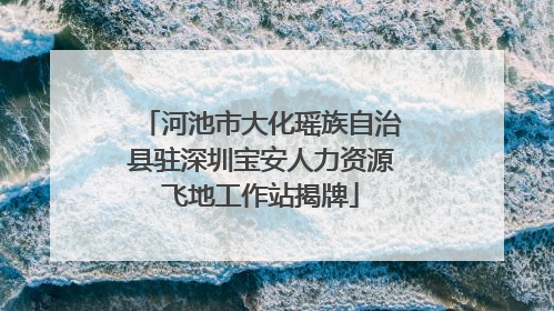河池市大化瑶族自治县驻深圳宝安人力资源飞地工作站揭牌