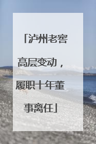 泸州老窖高层变动，履职十年董事离任