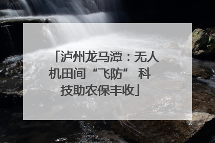 泸州龙马潭：无人机田间“飞防” 科技助农保丰收