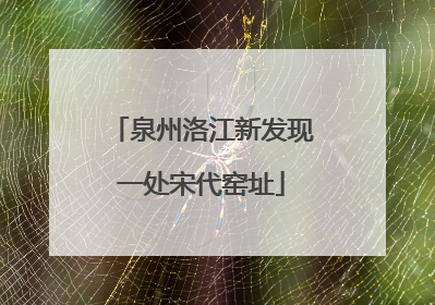 泉州洛江新发现一处宋代窑址