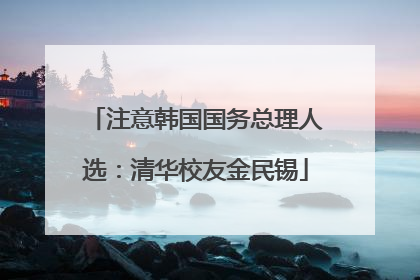 注意韩国国务总理人选：清华校友金民锡