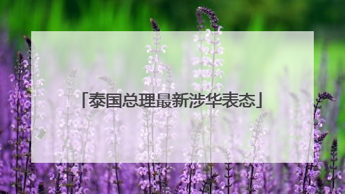 泰国总理最新涉华表态