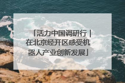 活力中国调研行｜在北京经开区感受机器人产业创新发展