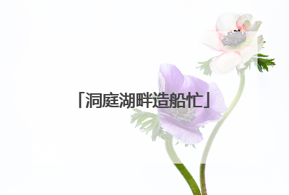 洞庭湖畔造船忙