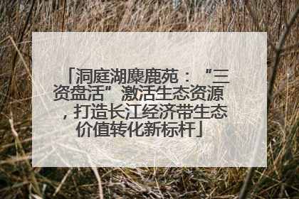 洞庭湖麋鹿苑：“三资盘活”激活生态资源，打造长江经济带生态价值转化新标杆