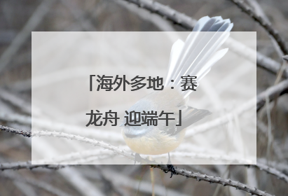 海外多地：赛龙舟 迎端午
