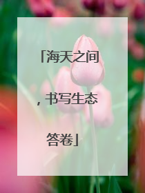海天之间，书写生态答卷