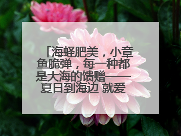 海蛏肥美，小章鱼脆弹，每一种都是大海的馈赠——夏日到海边 就爱那口鲜