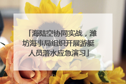 海陆空协同实战，潍坊海事局组织开展游艇人员落水应急演习