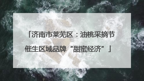 济南市莱芜区：油桃采摘节催生区域品牌“甜蜜经济”