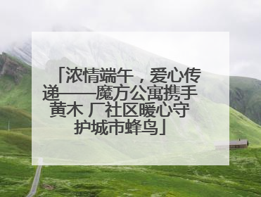 浓情端午，爱心传递——魔方公寓携手黄木 厂社区暖心守护城市蜂鸟