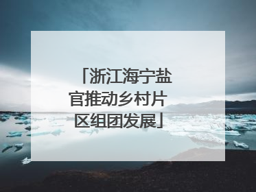 浙江海宁盐官推动乡村片区组团发展