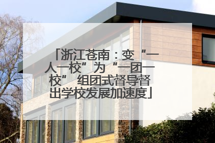 浙江苍南：变“一人一校”为“一团一校” 组团式督导督出学校发展加速度